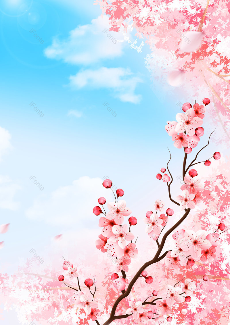 文艺|清新